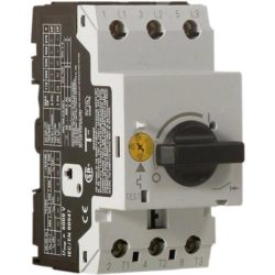 DISJONCTEURS MAGNETO THERMIQUE 6.3 A a 10 A BIPOLAIRE - POOLELEC