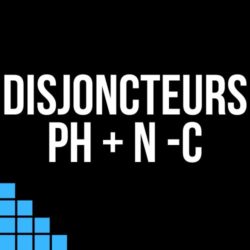 Disjoncteur P+N C