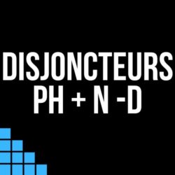 Disjoncteur P+N D