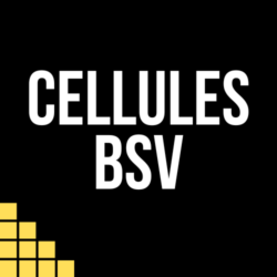 BSV