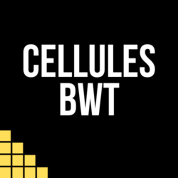 BWT