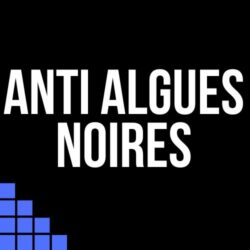 Algues Noires