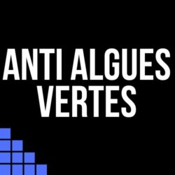 Algues Vertes