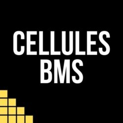 BMS