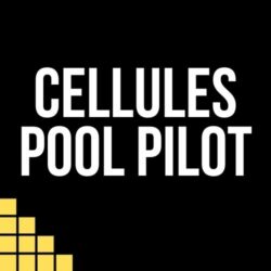 Pool Pilot