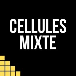 Mixte