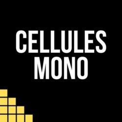 Mono