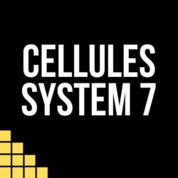 System 7