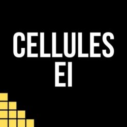EI