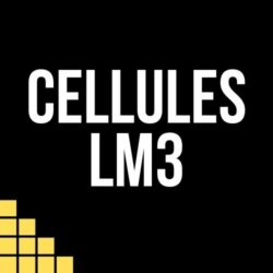 LM3