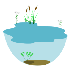 INSTALLATION OSMOSEUR